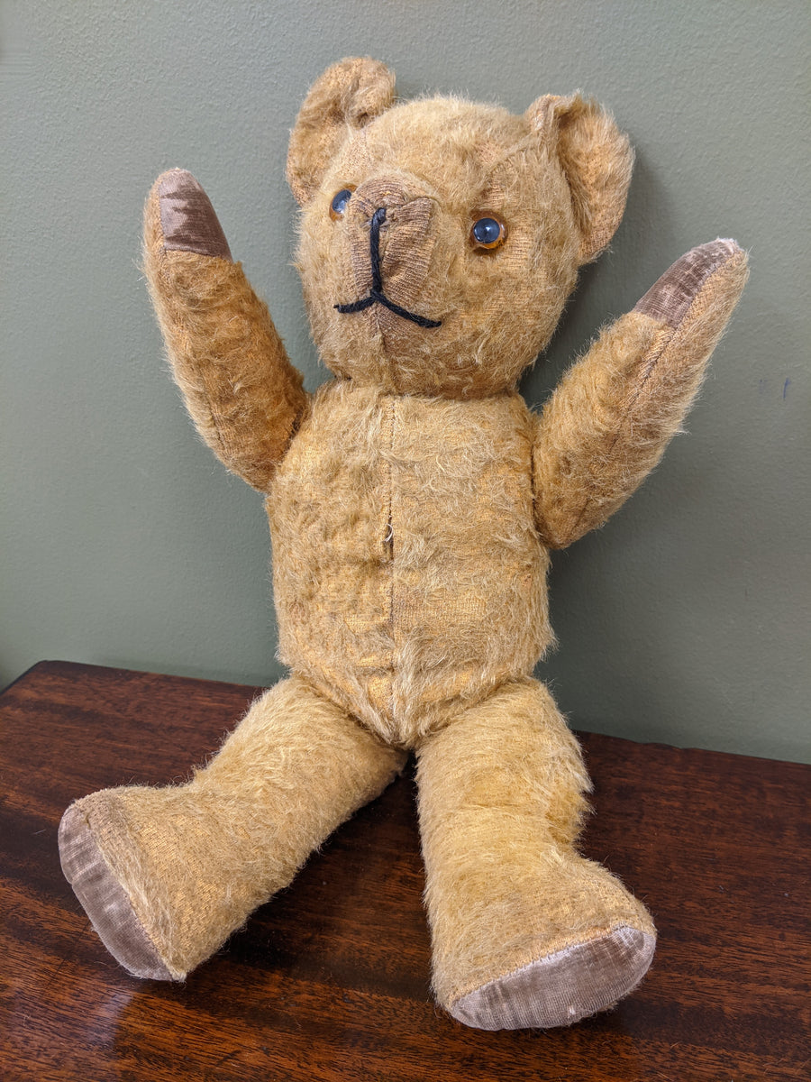 Old teddy best sale bears that growl